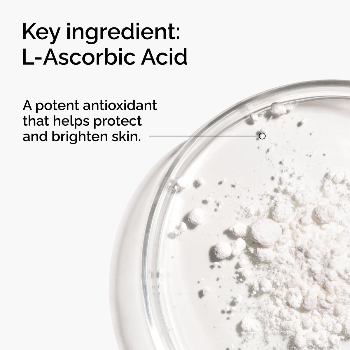 100-l-ascorbic-acid-powder-t6 FY25-D41247-ORD-Web-PDP-100-LAscb-Pwd-1x1-EN-2a.jpg